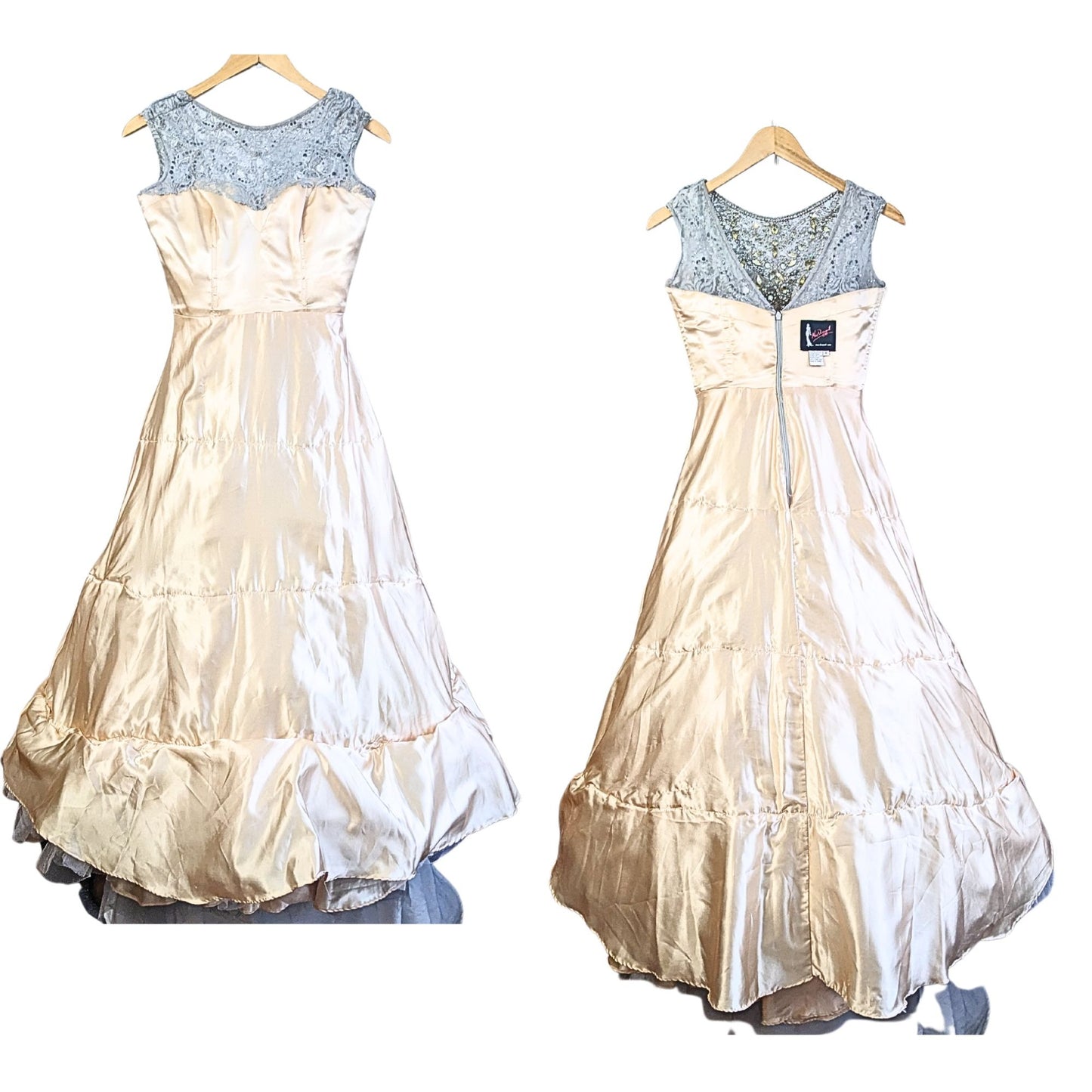 MAC DUGGAL Platinum Nude Rhinestone Illusion Bodice Chiffon Gown 82369H Size 4